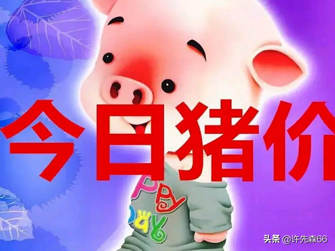 娱乐生活 第243页