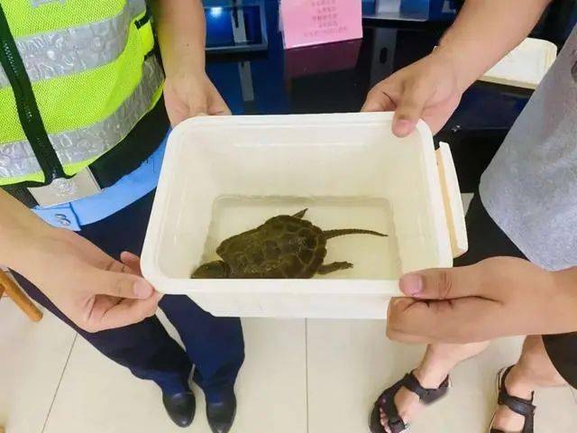 地方新闻 第210页