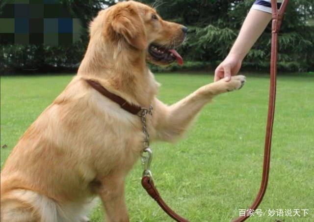第1287页