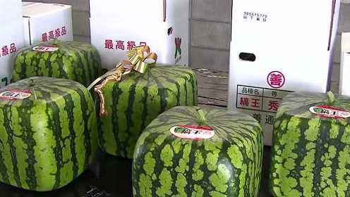 港澳新闻 第179页