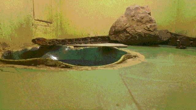 第1032页