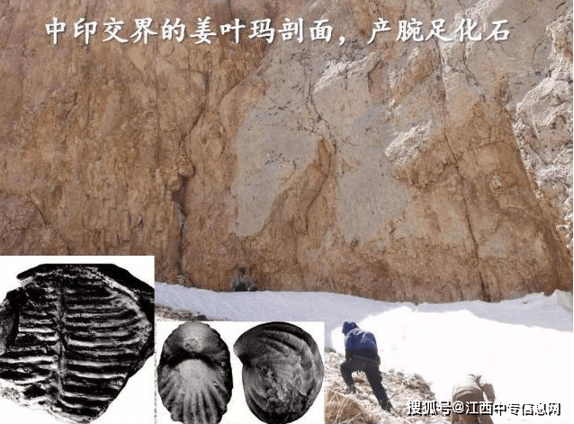 地方新闻 第161页