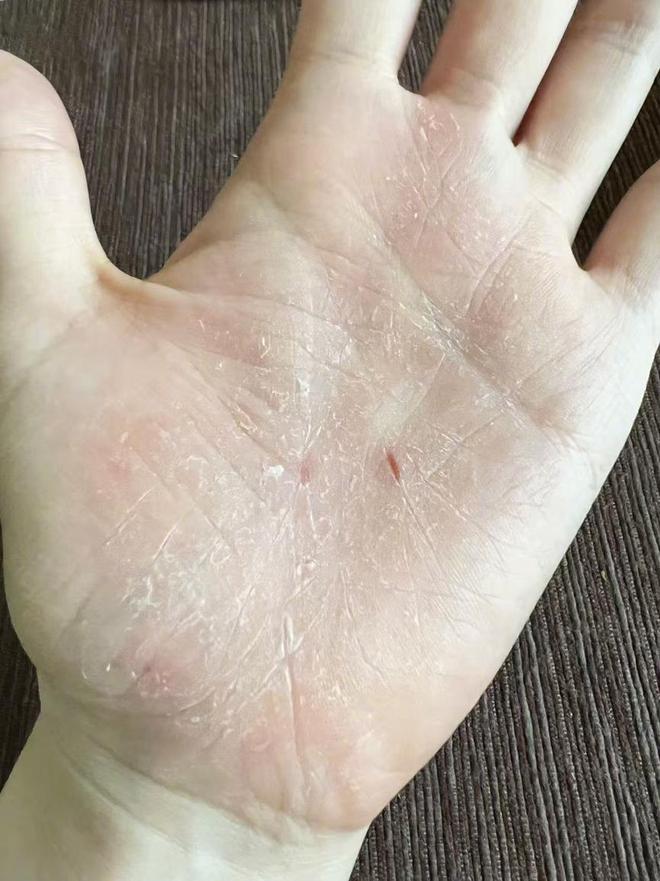 游戏专题 第162页