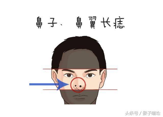 热点生活 第146页