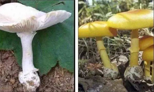 最新资讯 第73页